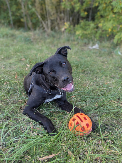 Sidney