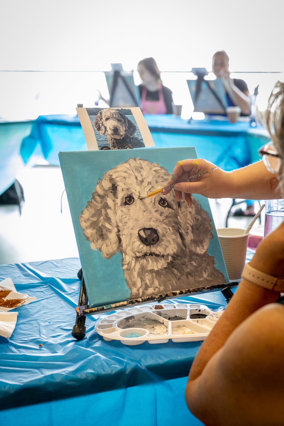 Paint Your Pet Class