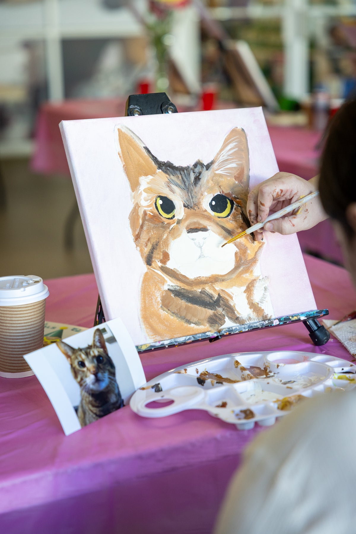 Paint Your Pet Class