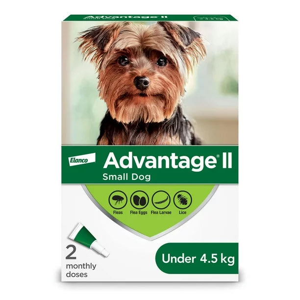 Canine Advantage