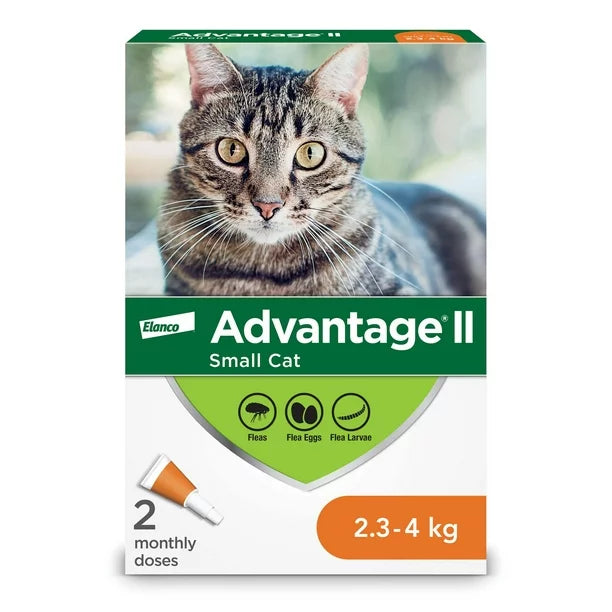 Feline Advantage