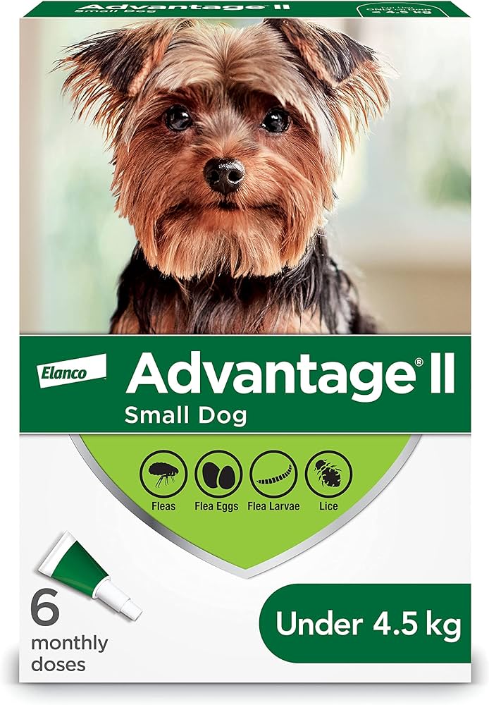 Canine Advantage