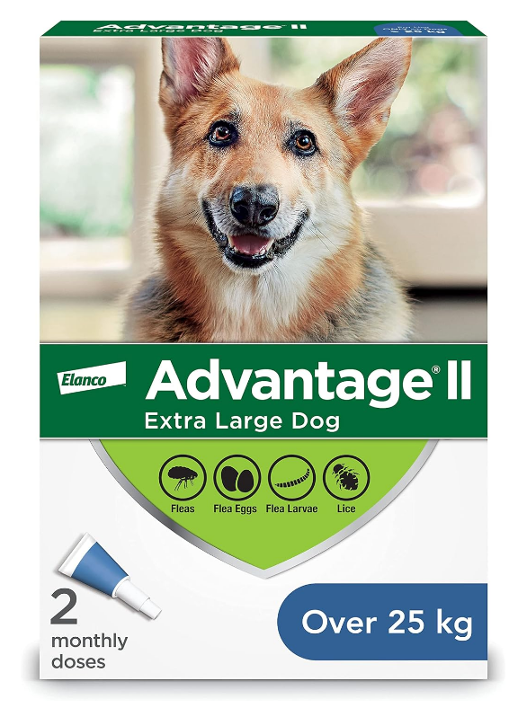 Canine Advantage
