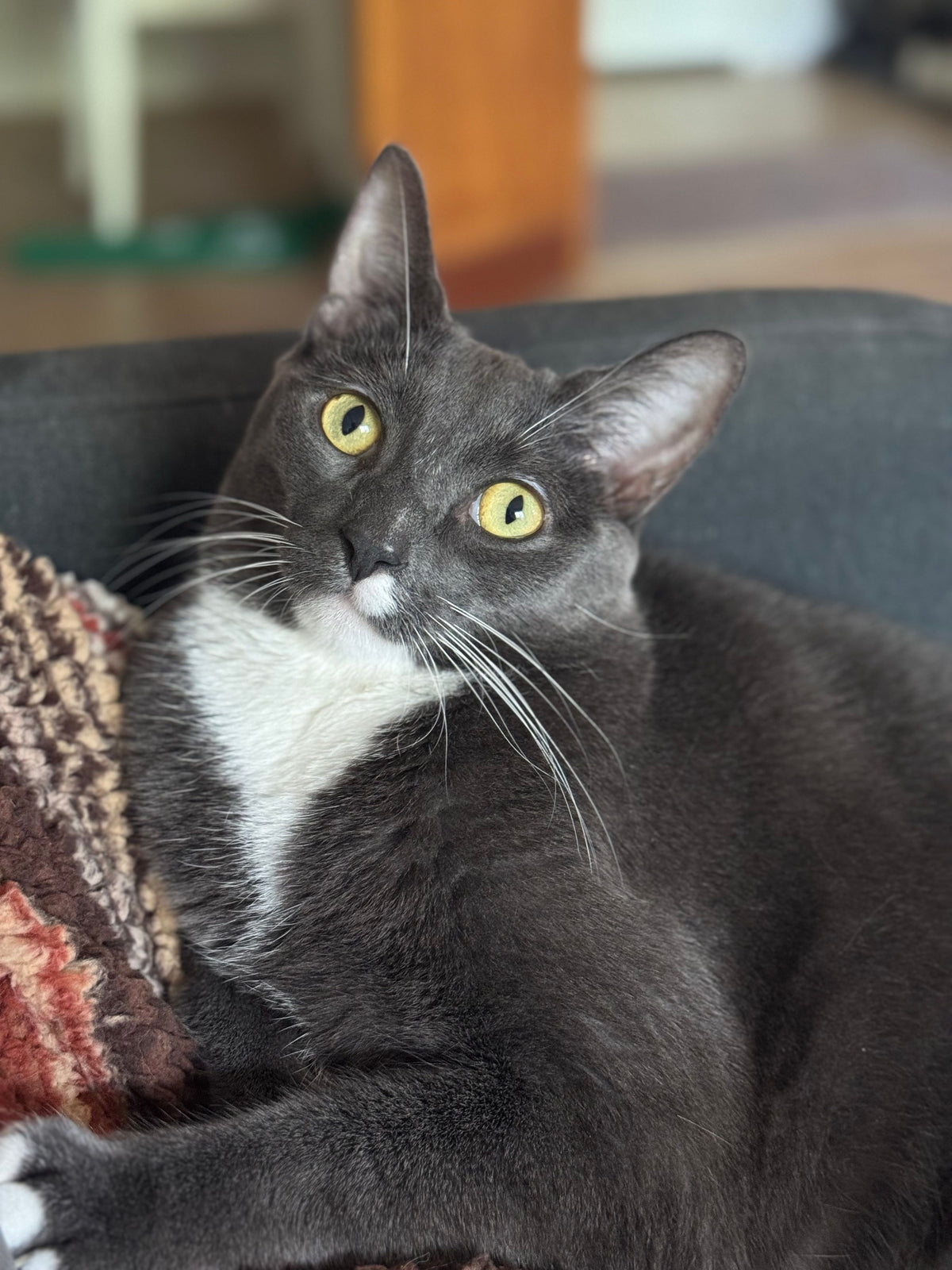 Greyson