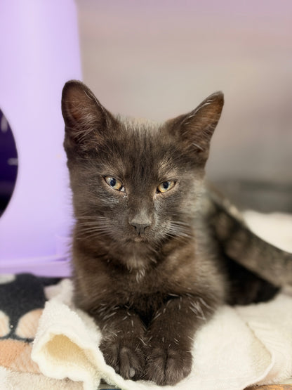 Crystal