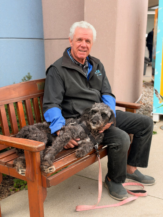 Jovi (Sponsored Adoption Fee)