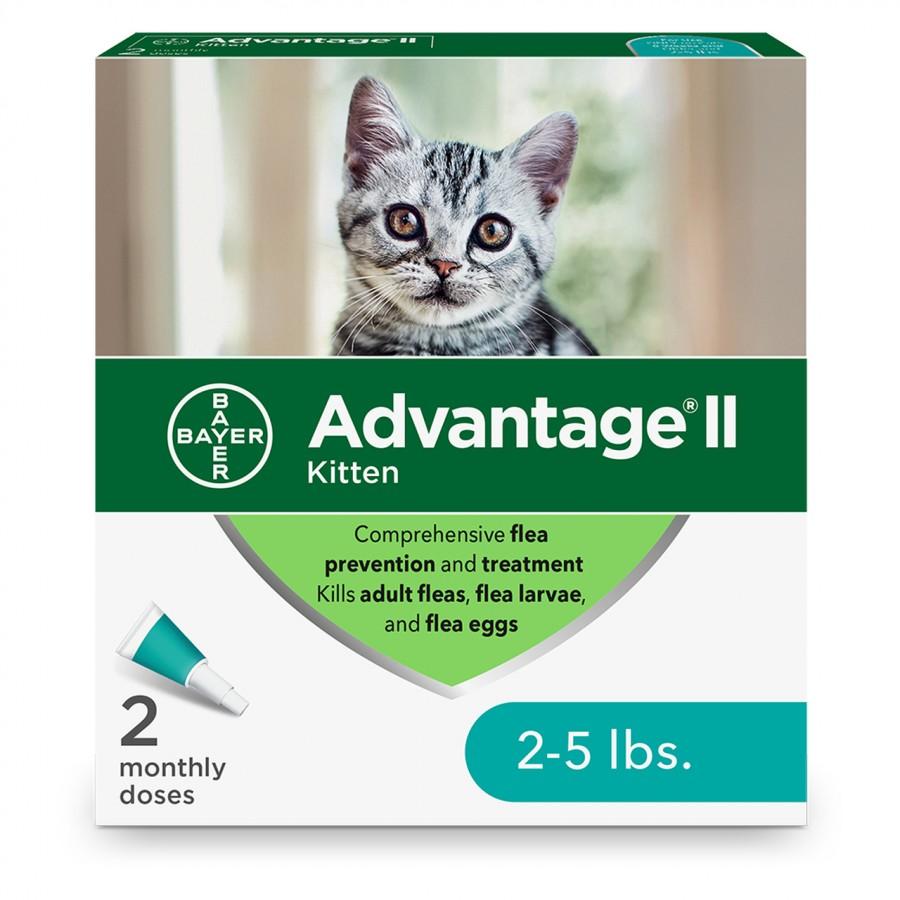 Feline Advantage