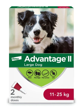 Canine Advantage