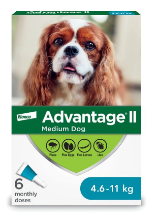 Canine Advantage