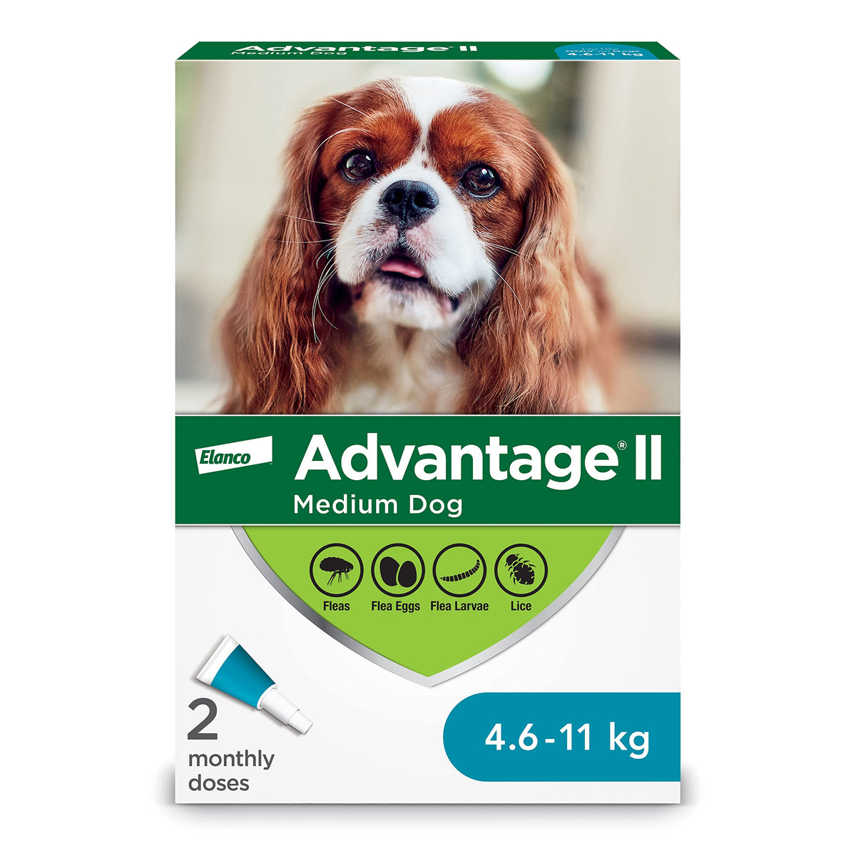 Canine Advantage