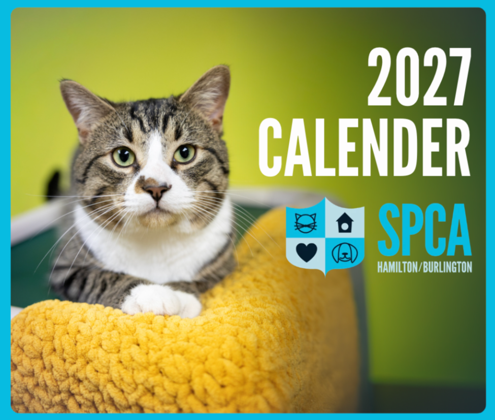 Personalize Your 2027 Calendar