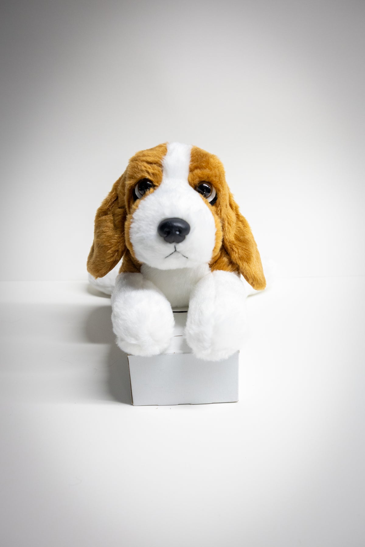 Dog & Cat Plush with Adoption Kit | Stuffed Animal Toy