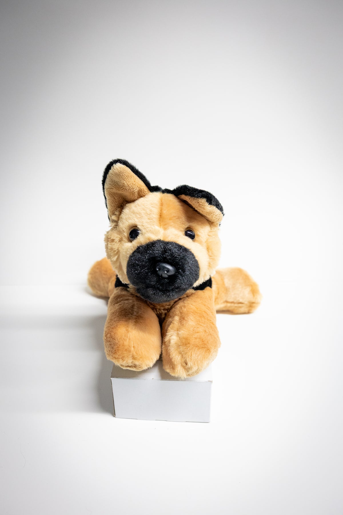 Dog & Cat Plush with Adoption Kit | Stuffed Animal Toy
