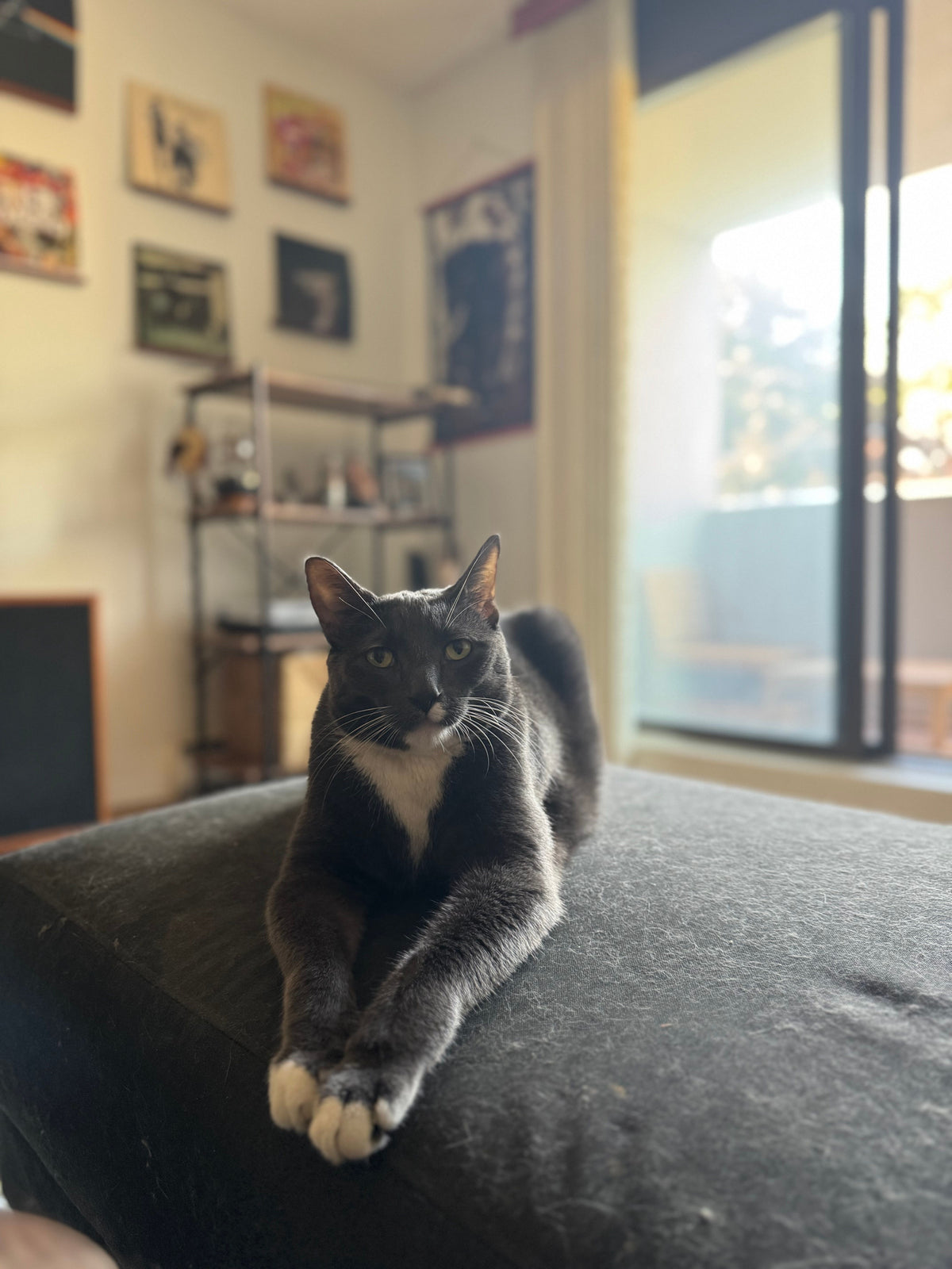 Greyson