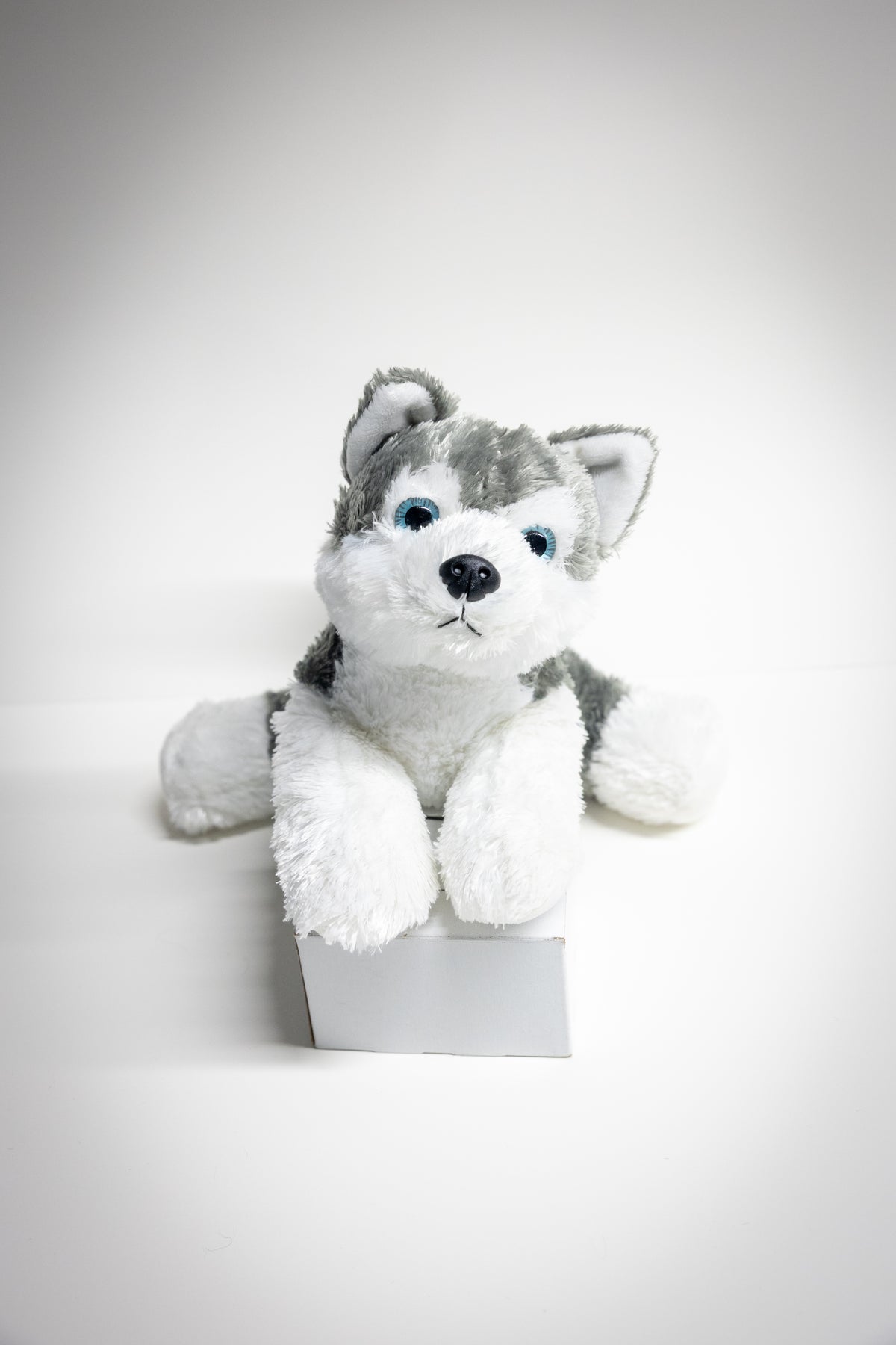 Dog & Cat Plush with Adoption Kit | Stuffed Animal Toy