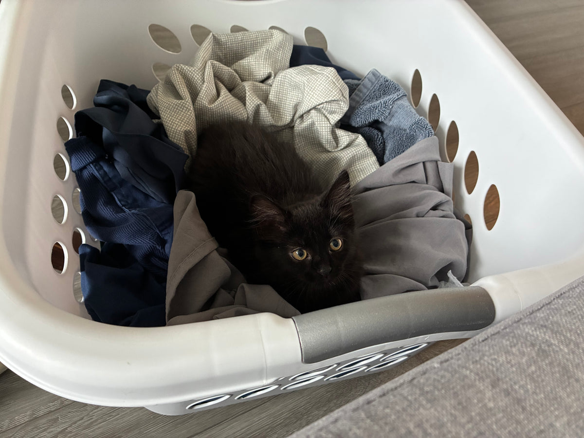 Lil Beet
